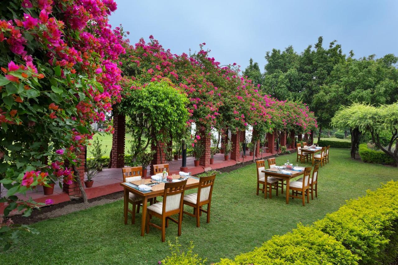 Naturoville Wellness Resort Rishikesh - Surrounded By Nature, Rooted In Wellness Doiwala Exterior photo
